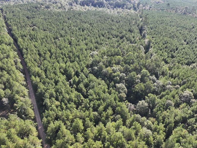 dji_fly_20250908_093816_0415_1757354104171_photo