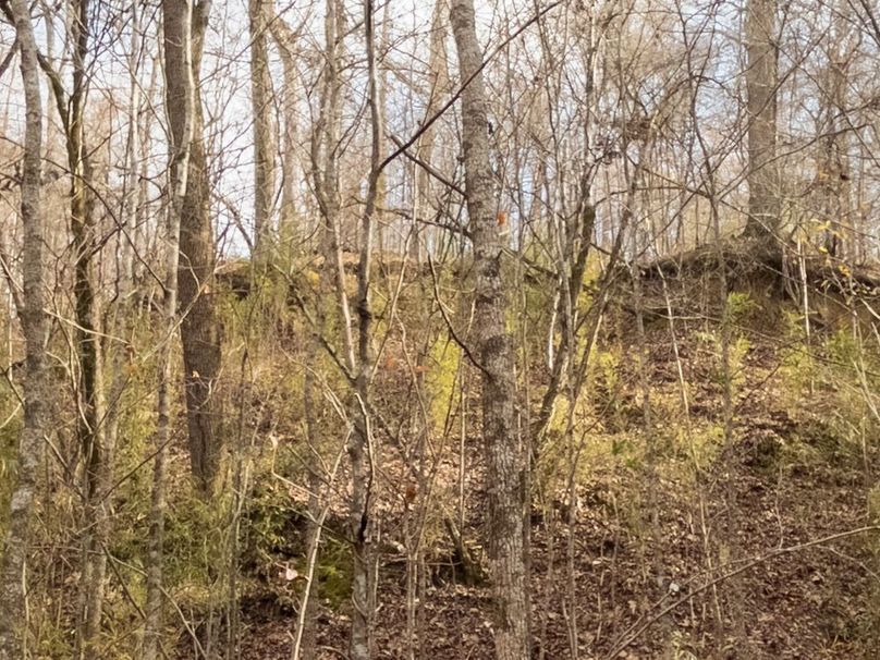 Yazoo Co - 75 - Batton-38