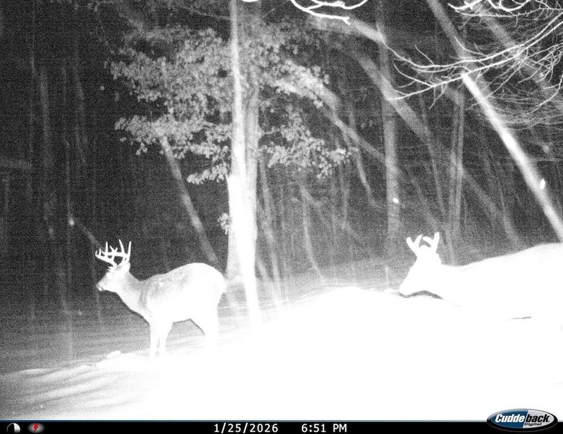 EBDBAA21-BABB-4152-A8FB-B445B390FA4C_1_105_c