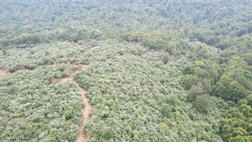 dji_fly_20250806_140806_588_1754530432545_photo