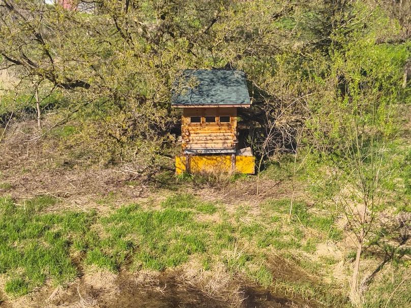 101 Custom Log Blind