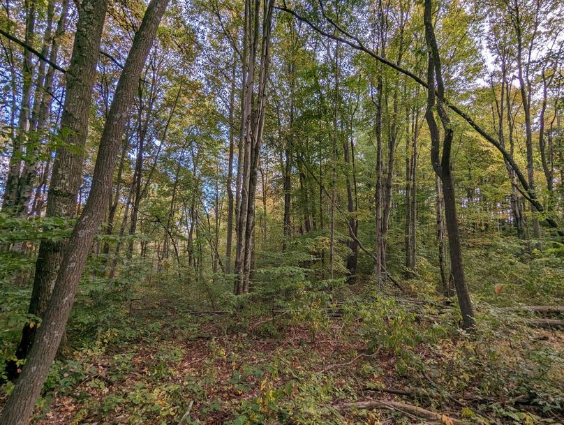 PXL_20231004_192739992