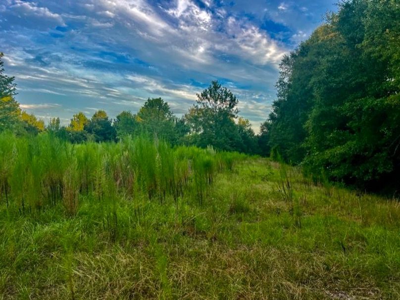 480B3F05-DAC3-42EE-AA42-1A95A4DBC779_1_105_c