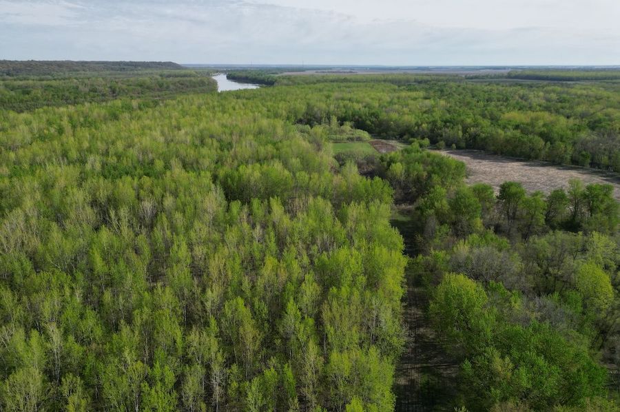 DJI_0248