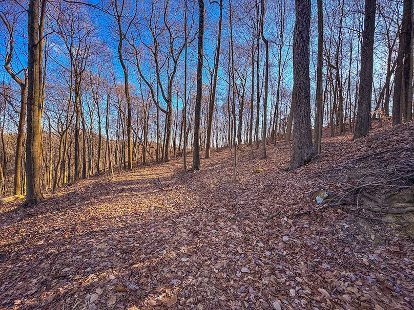 Pleasants, WV 81 AC Barron-28