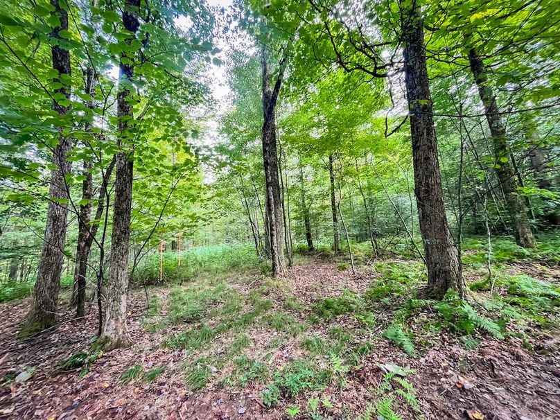 Tioga_59.597_Barnes_Photos_35