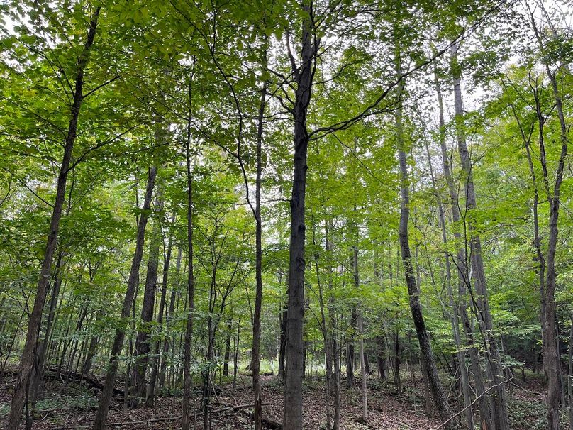 Schuyler_42.08_Austin Photo 25