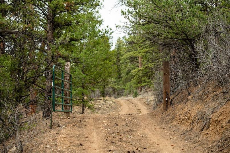 Chaffee CO 66.4 Taylor - 047 Property Gate