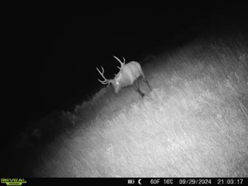 860516060311929-60-4-09292024210316-W1000932