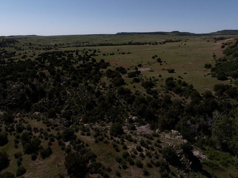 DJI_20250619093410_0019_D