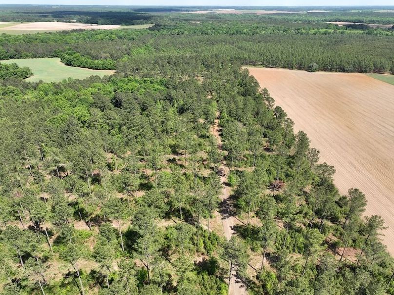 dji_fly_20260417_151624_514_1776455860390_photo