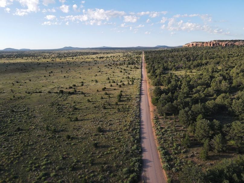 dji_fly_20240816_073734_487_1723815479618_photo