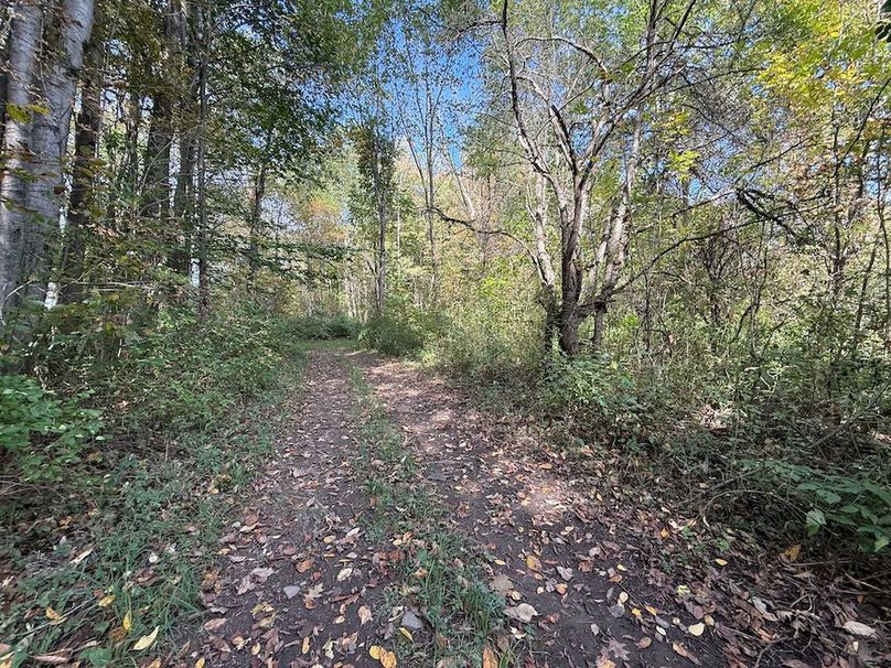 Cayuga_55.02_Herman Photo 54