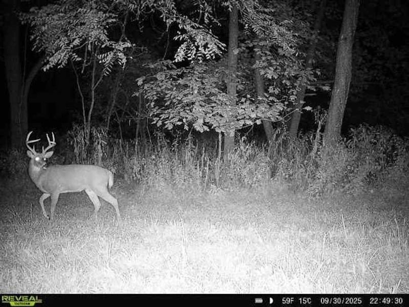 864049057528277-100-4-09302025224930-W1000952