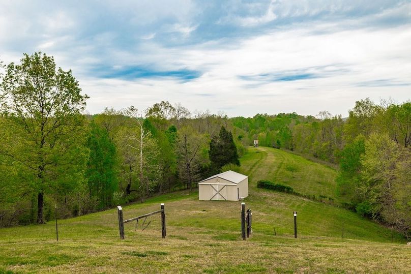 60-web-or-mls-1103 Johnny Spears Rd-45