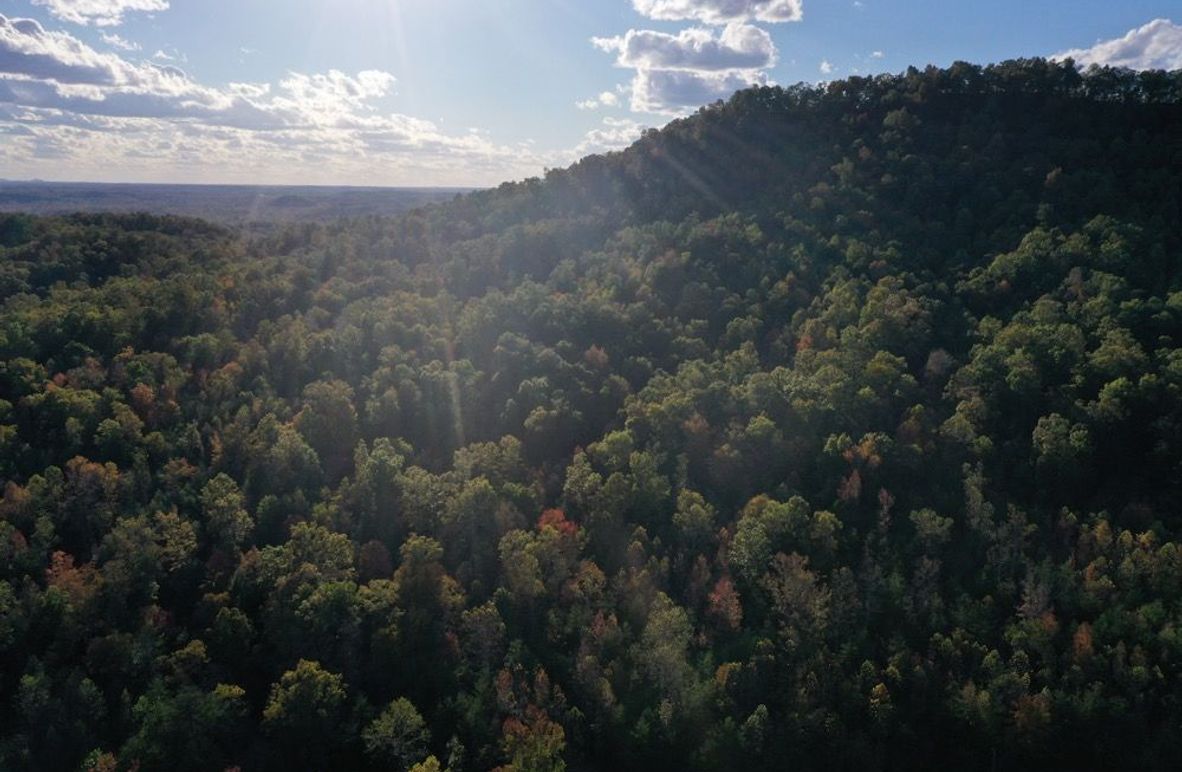 003 aerial drone shot from the northeast boundary looking southwest