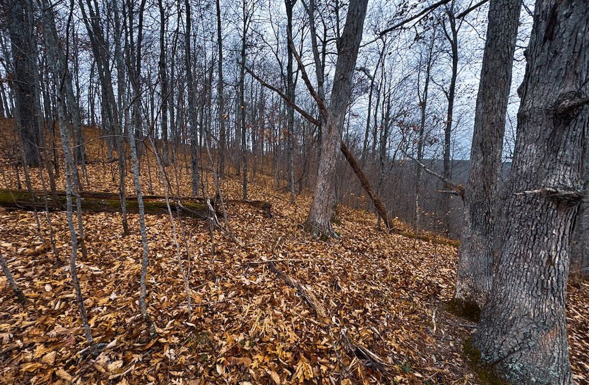 Ritchie, WV 100 AC Harper-06