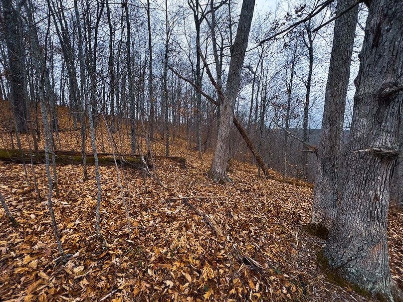 Ritchie, WV 100 AC Harper-06