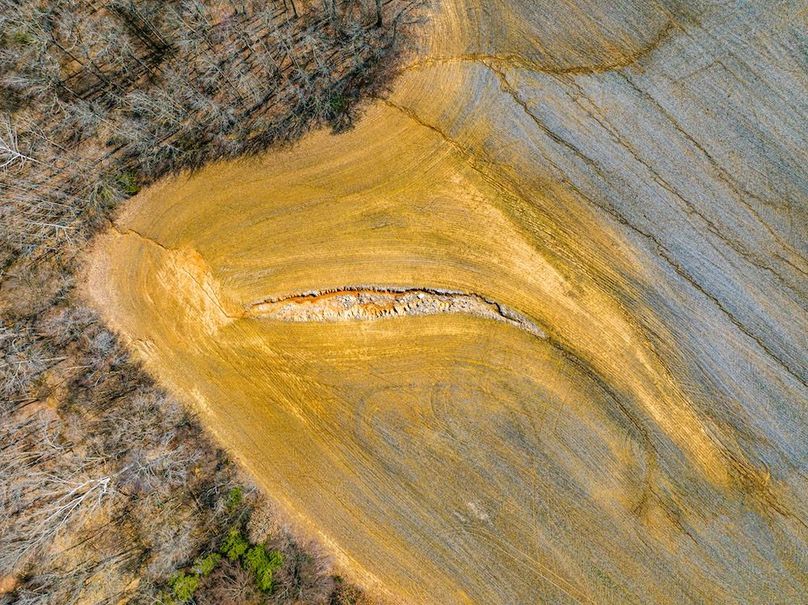 Gibson 140.5 Neese-McGuire-7