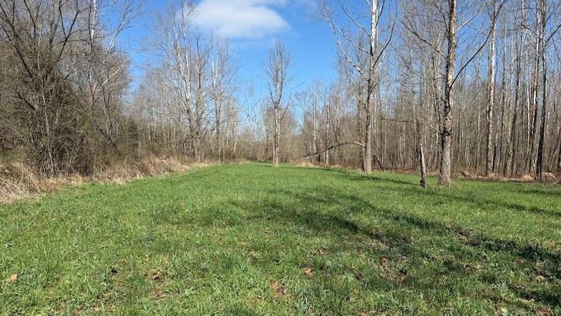 Butler 118 Capella26