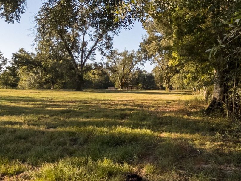 Hinds Co - 30 - Newman-17