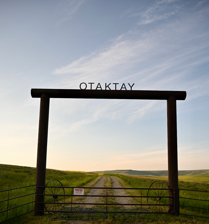 Otaktay Arch II