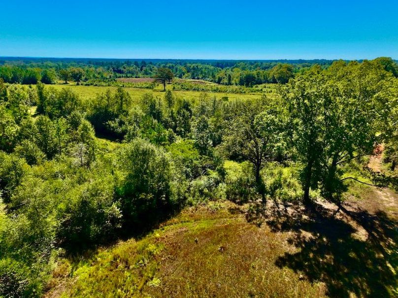 316868A0-2D50-42E2-AE71-29462899F887_1_201_a