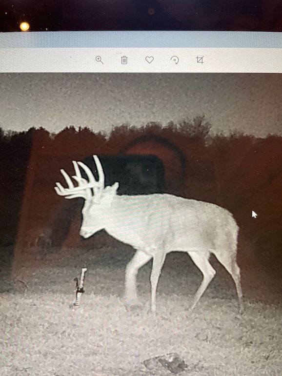 62846076319__BF590EA5-1614-44DE-933E-922328F58DD8