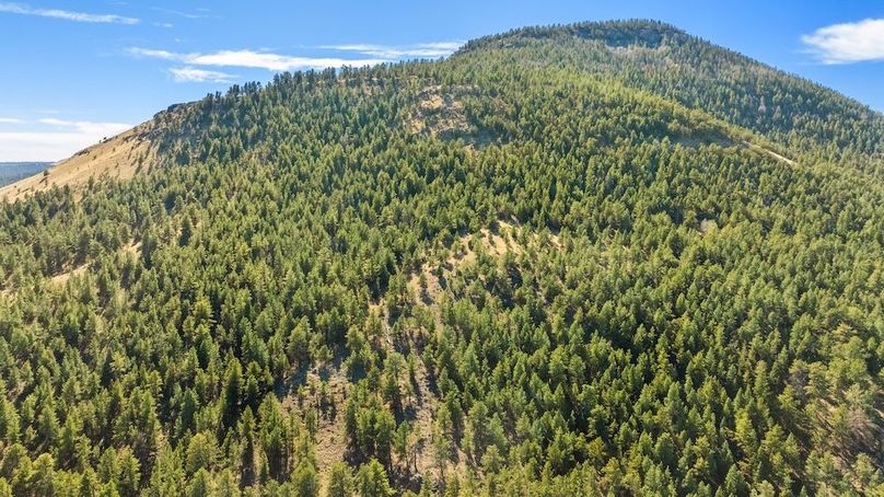 060 - Property + BLM