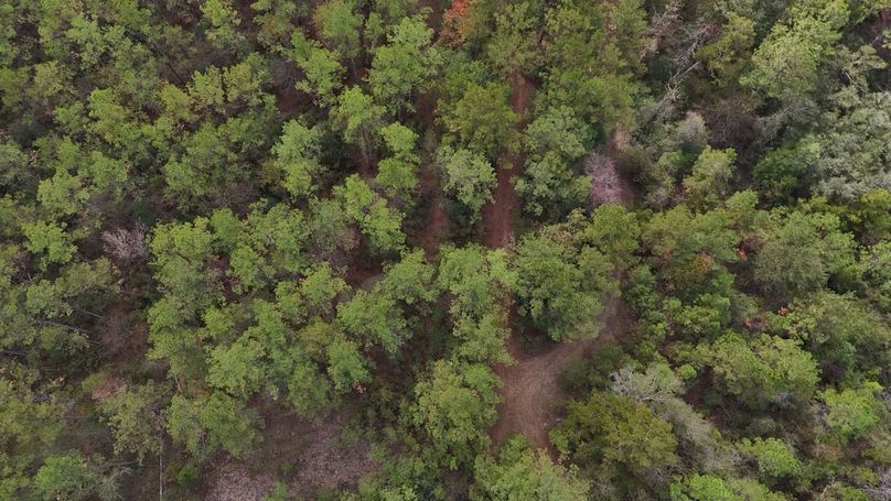 DJI_20231026123355_0032_D