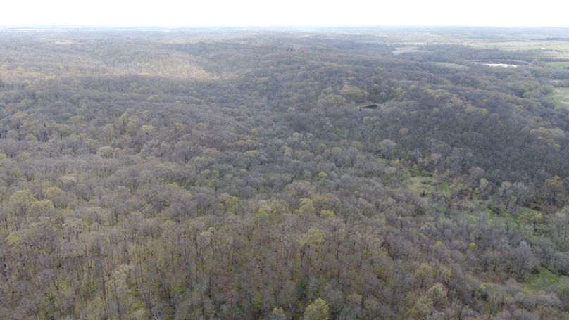 DJI_0749