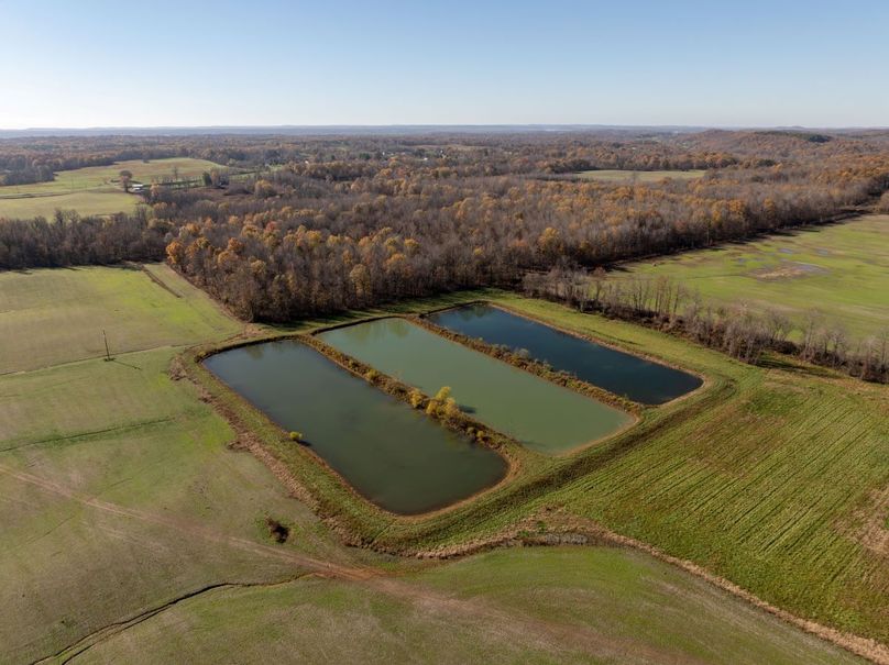 DJI_20241119101615_0211_D