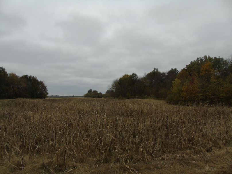 4 acre filed that gets flooded 2020