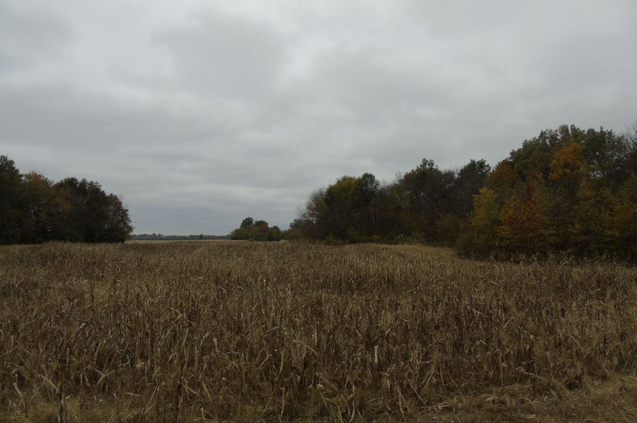 4 acre filed that gets flooded 2020