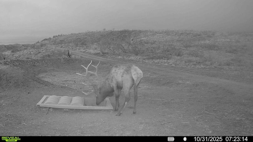 016578003984348-100-3-10312025130816-HD-SYFW01215 (1)