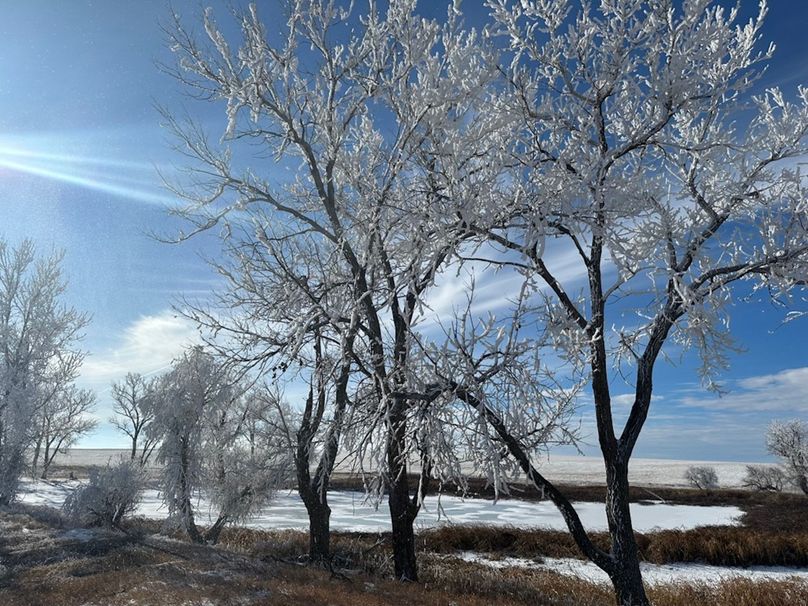 5A78AABA-5569-4D30-A0DF-F043AB32554B_1_105_c