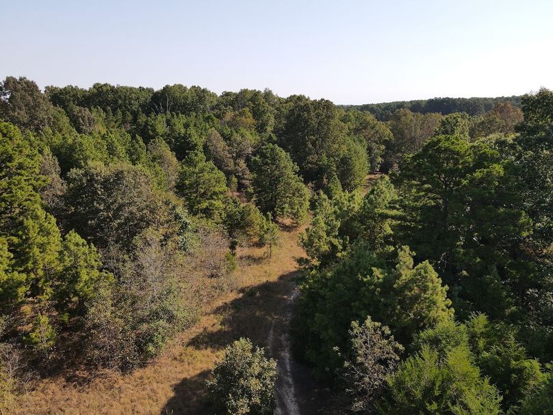 dji_fly_20250902_095134_708_1756824707617_photo