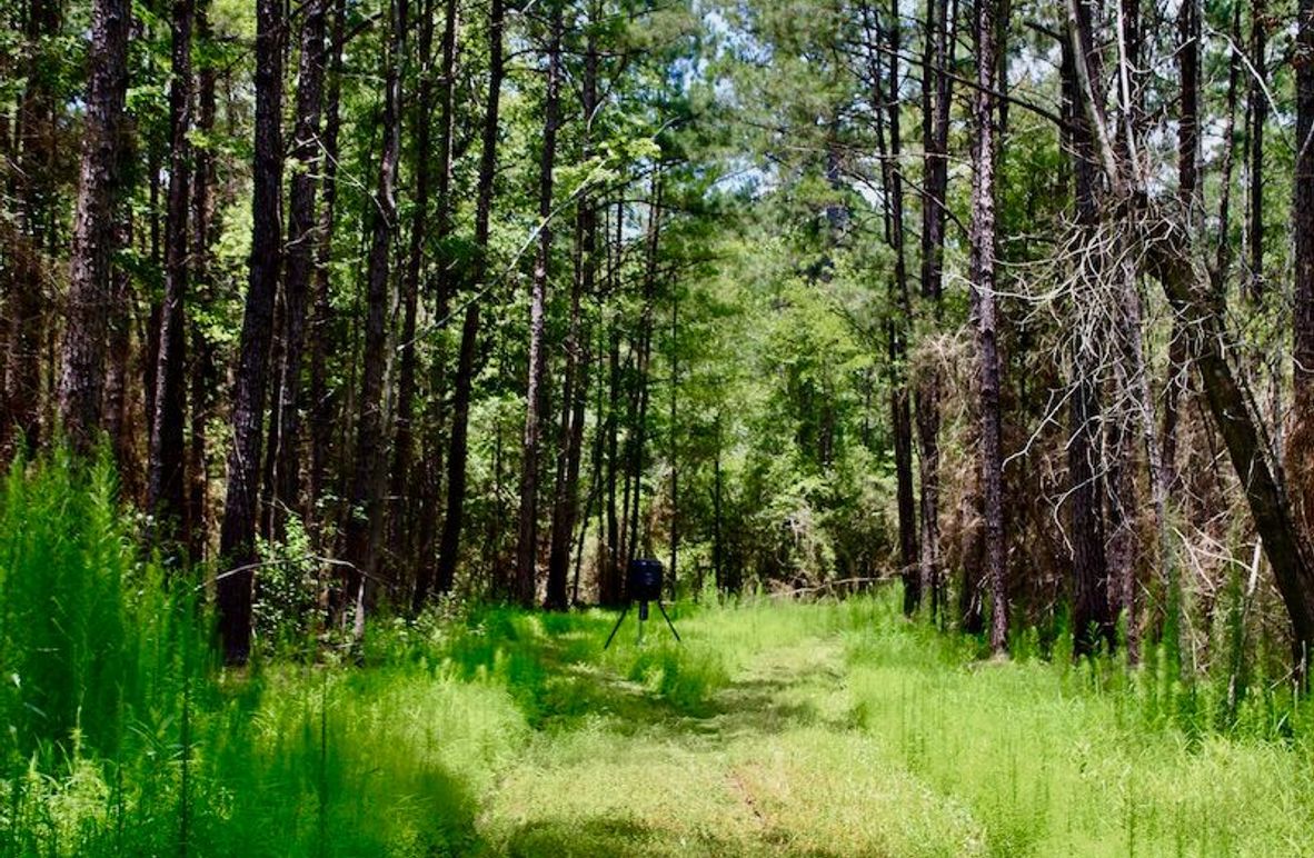 4E9628BB-A4B1-4B88-8EC5-77D41E5F010C_1_201_a