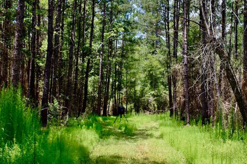 4E9628BB-A4B1-4B88-8EC5-77D41E5F010C_1_201_a