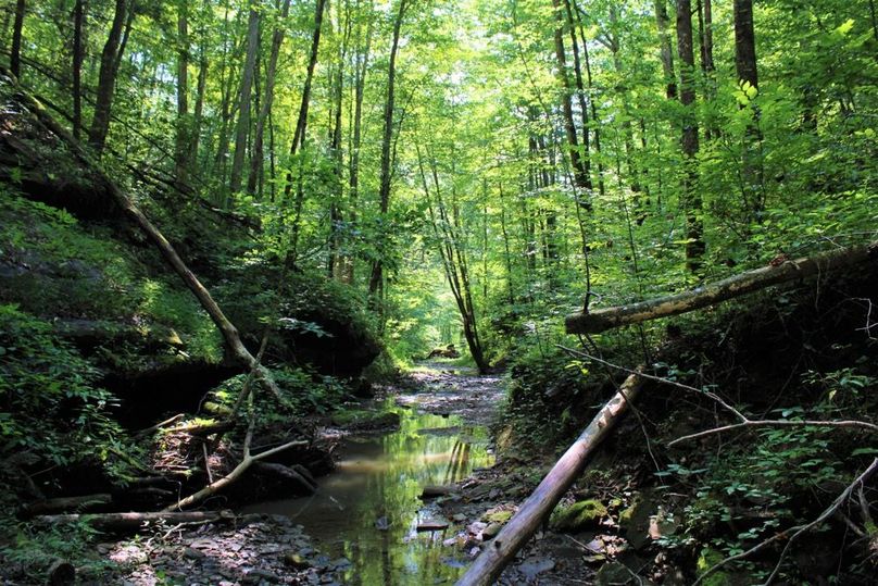 021 Little Rock Lick Creek flowing along the south boundary of the property