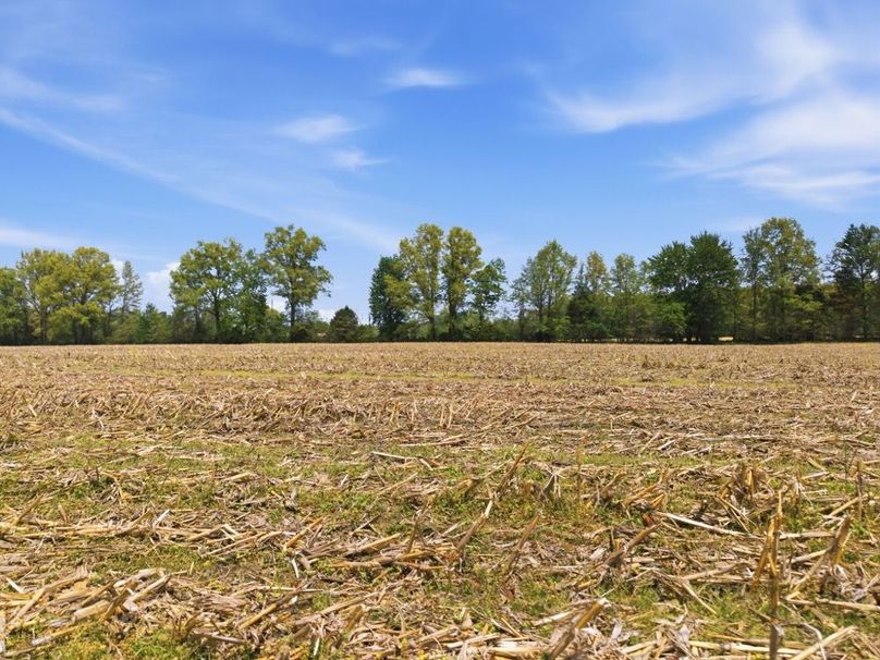 24-web-or-mls-DJI_20260424134249_0234_D