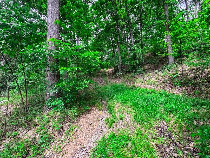 Clay, WV 14.839 AC-02