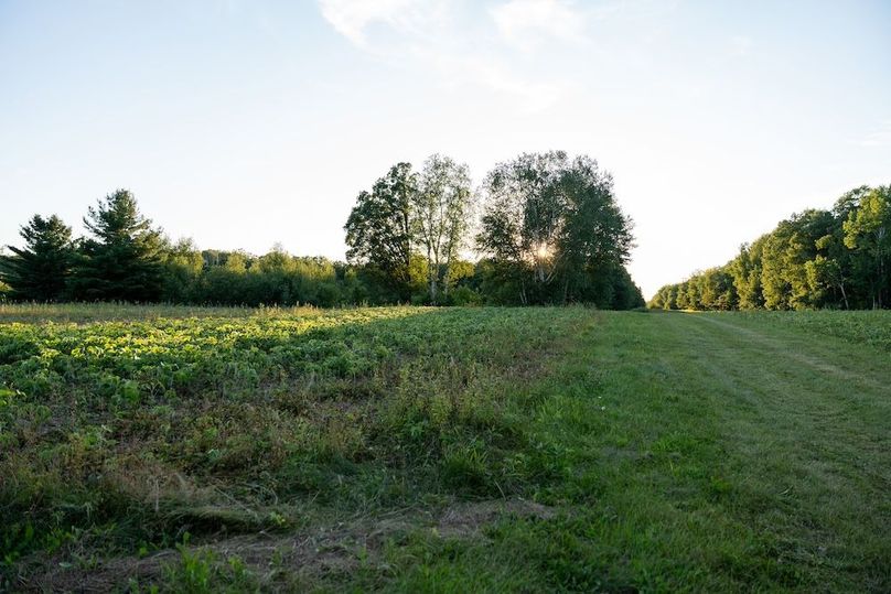 Cass MN 1095 Featured ProPhoto-43