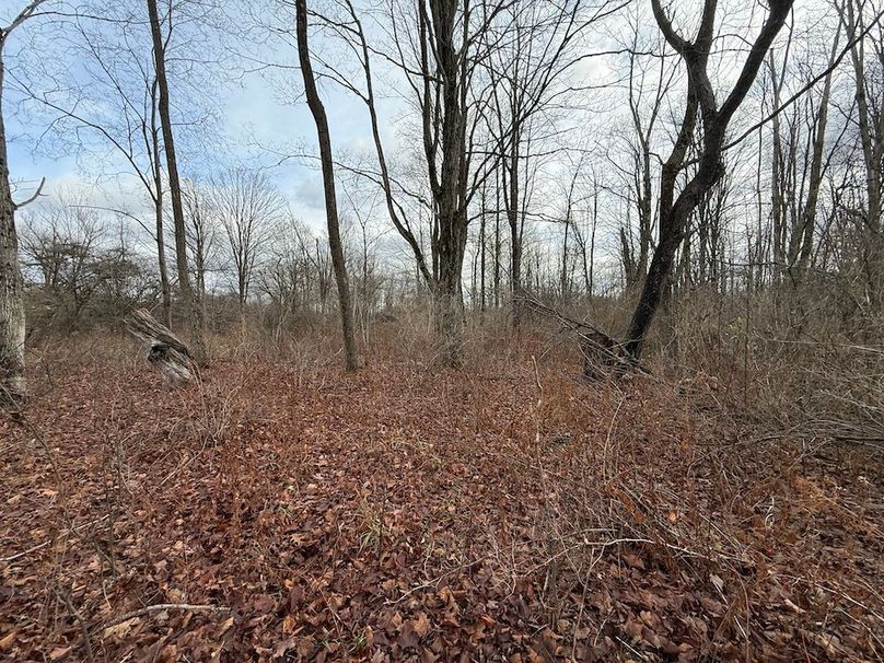 Tompkins_15.15_Galarza Photo 30