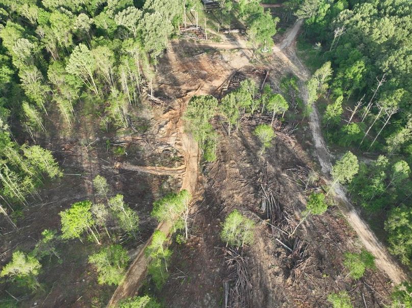 dji_fly_20260407_083728_373_1775580271663_photo