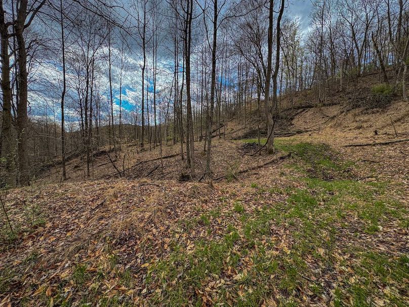 Wirt, WV 156.941 AC Full-11