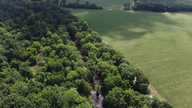 2024-06-01-10-30-37-962