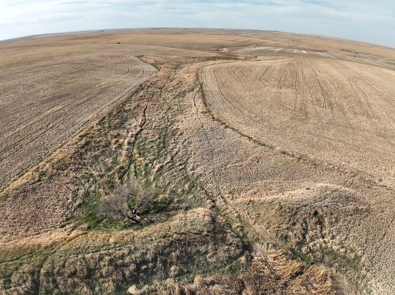 DJI_0403