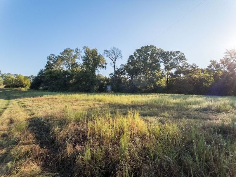 Hinds Co - 78 - Newman-16