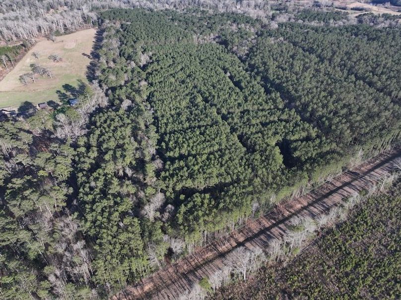 dji_fly_20260216_151838_0076_1771284236216_photo